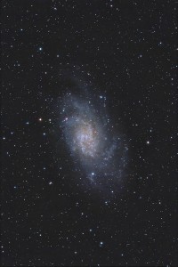 M33 