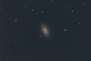 M64