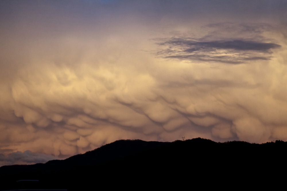 Mammatus         