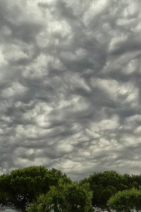 Mammatus          