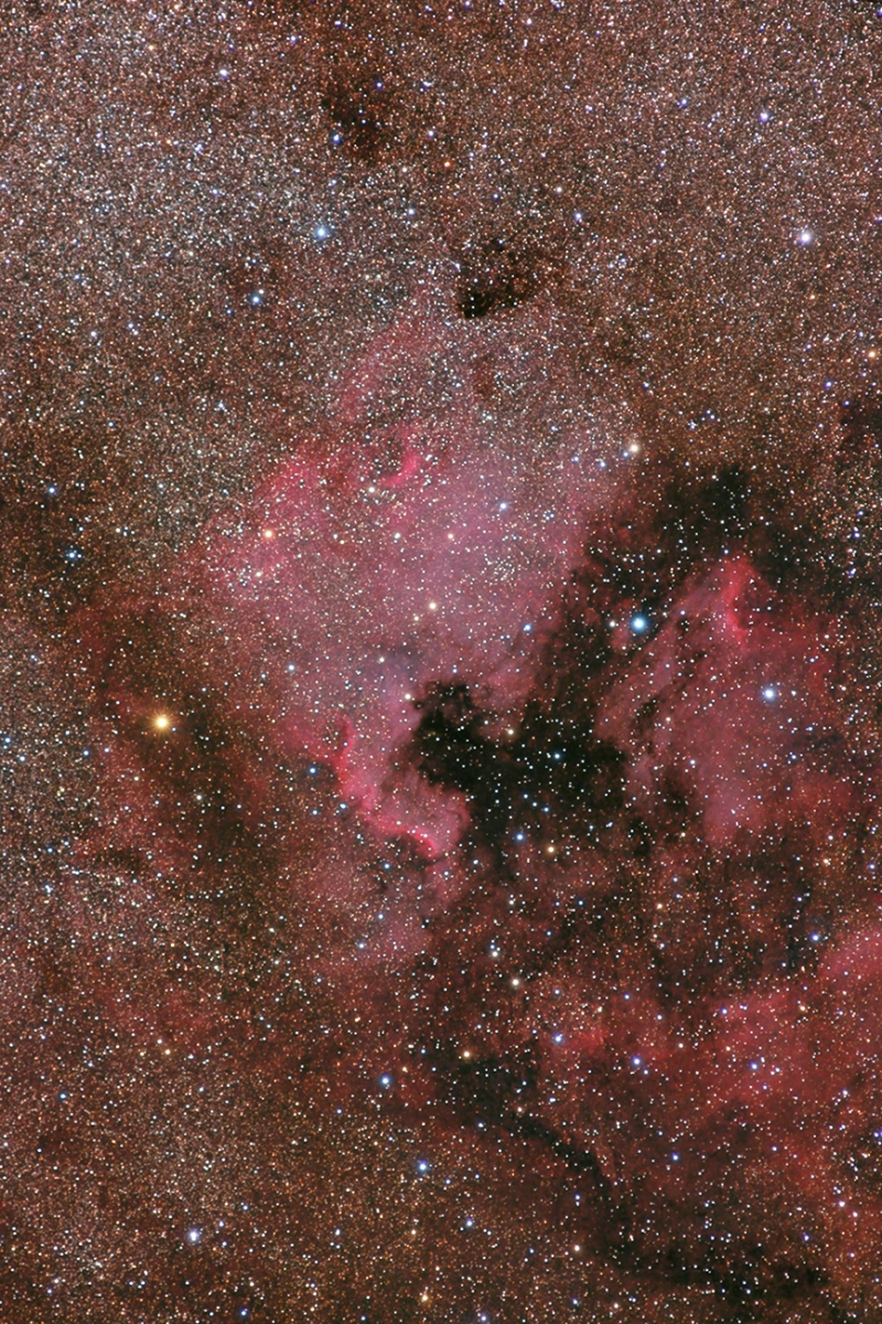 NGC 7000 area    
