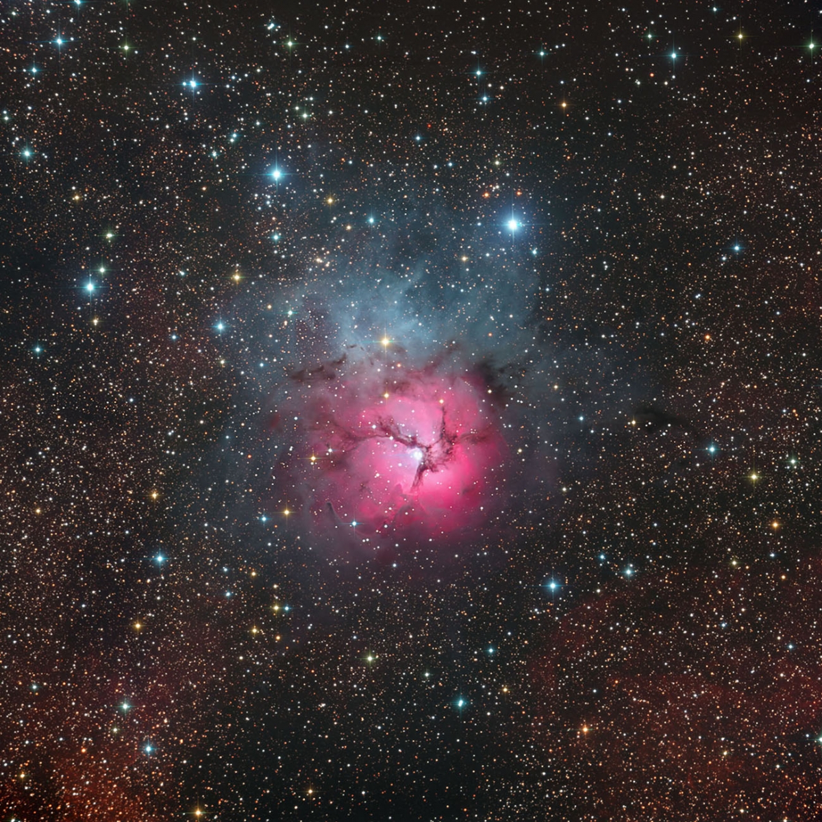M 20 - Trifida