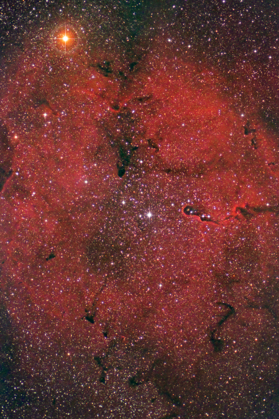 IC 1386