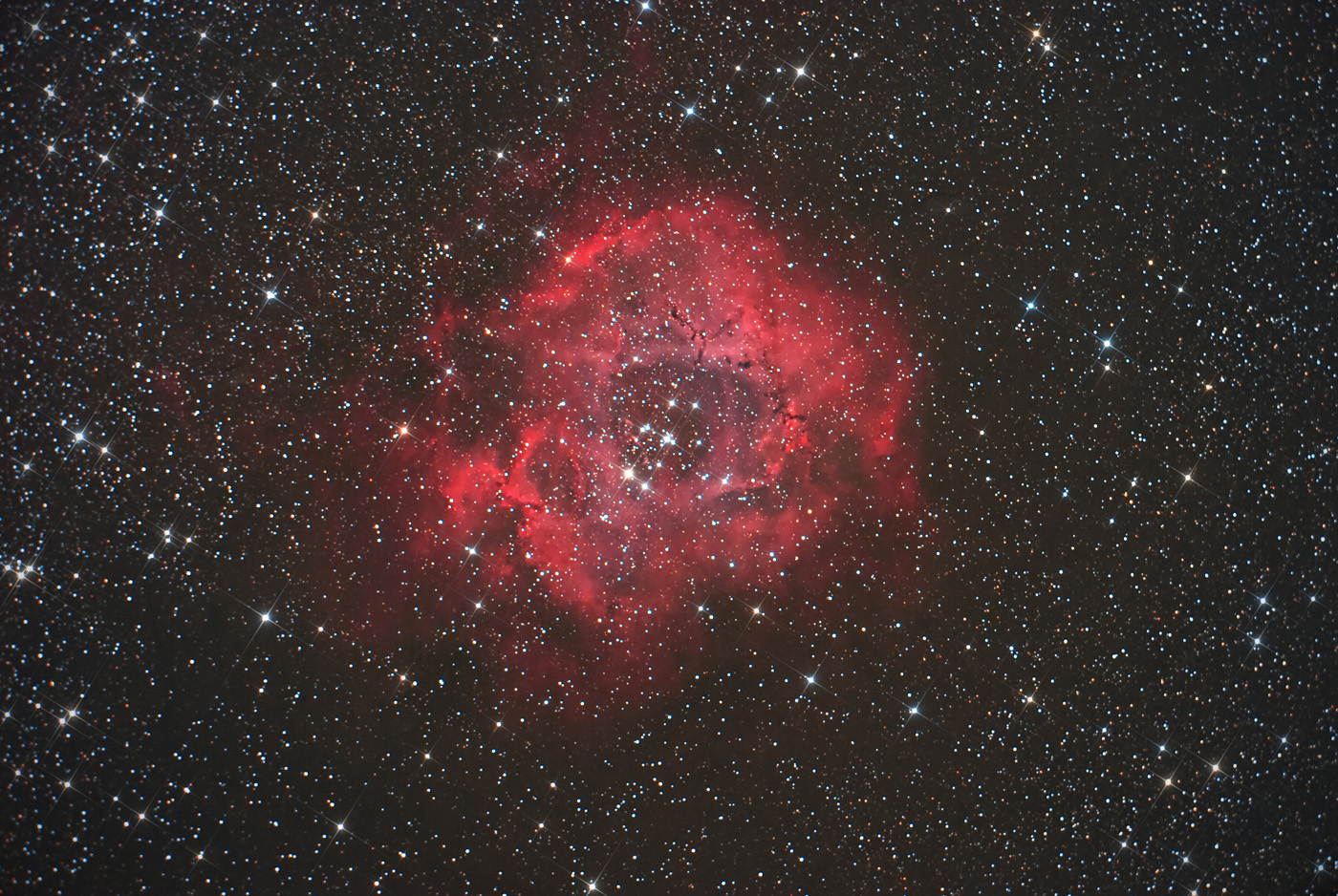 Rosette nebula    