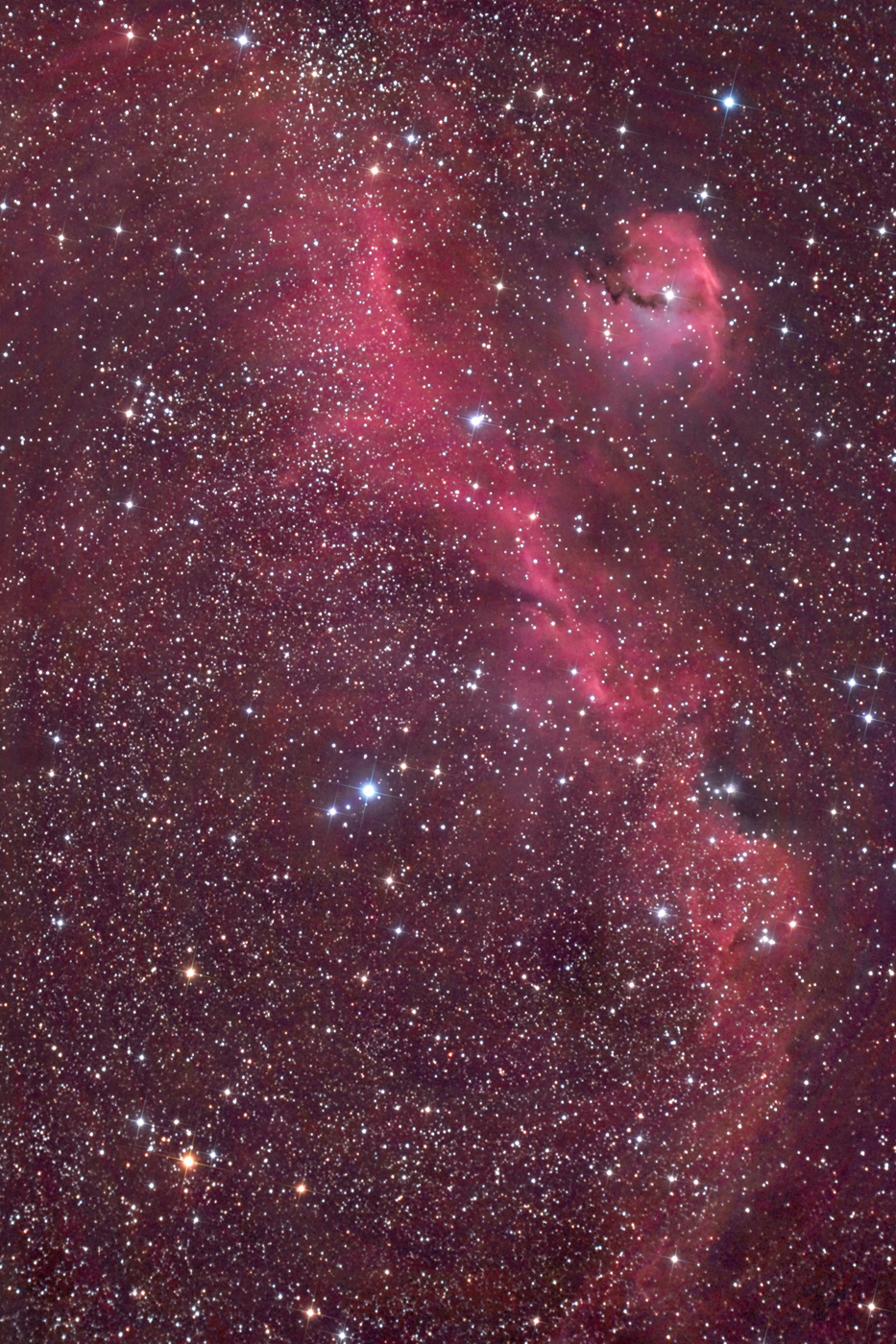Seagull nebula     