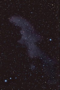 IC 2118 (Witch Head)        