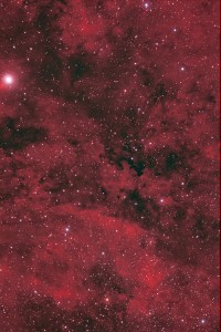 LDN881 in IC 1318 -  HaRGB        