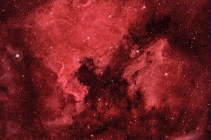 NGC 7000 HaRGB 