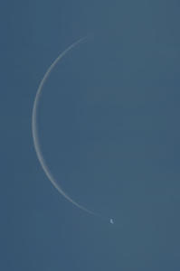Occultazione Luna - Venere 19 Giugno 2020