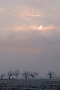 Eclissi Parziale  
