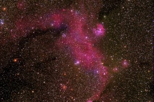 IC 2177 - Seagull Nebula        